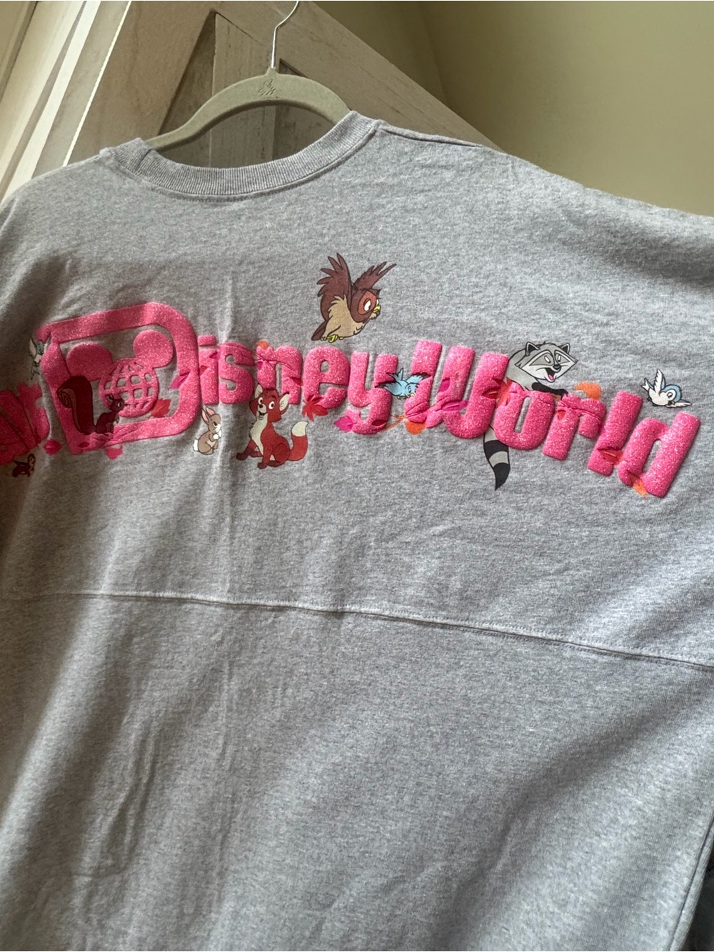 Disney Forest Friends Spirit Jersey with Pink Disney World Logo and Characters